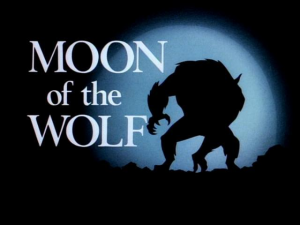 BTAS + TNBA Episodes (Parts Separated) — option 43