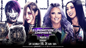 Wwe Elimination Chamber Perth Womens Tag Title Match — WWE PLE 2024 MATCHES option 23