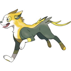 250px 0836boltund — Electric Type Pokemon option 34
