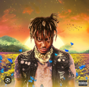 Zzzzz 1752306368img8707 — Ranking every Juice WRLD album option 18
