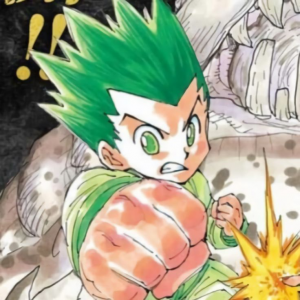 1df05cf0c0a627361319d01b00ff9a9f — Best Anime Protagonist option 5