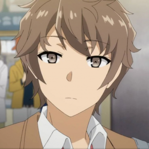 Zzzzz 17370708268141731e2bf70555c419e24abc6bd96b — Best Anime Protagonist option 103