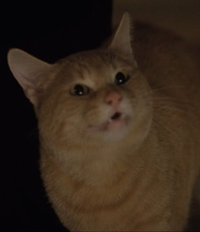 Zzzzz 1767258412mews — All Stranger Things Characters option 29
