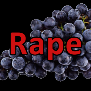 Grape — H-Tag Tier List option 10