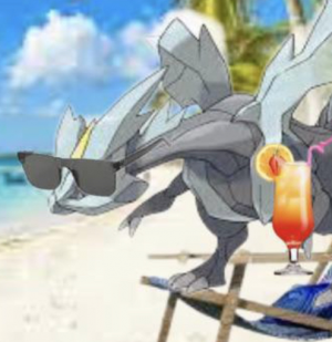 Zzzzz 1702817926img2037 — pokemonroleplays December 2023 tierlist option 41