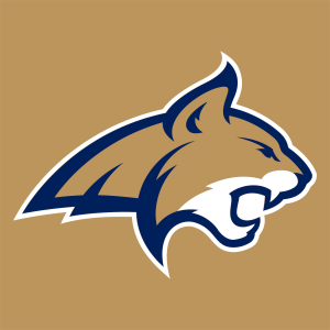 Zzzzz 1789263567photoroom20260913032800 — FBS & FCS (all football teams) option 205