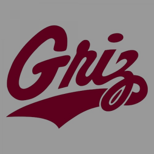 Zzzzz 1789263567photoroom20260913033755 — FBS & FCS (all football teams) option 204