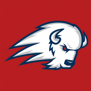 Zzzzz 1789263569photoroom20260913030747 — FBS & FCS (all football teams) option 253