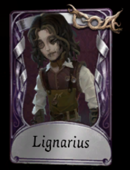 Zzzzz 1735834215to Be Deleted 3 — Identity V High-Rarity Skins (~Season 41) option 622