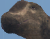 Zzzzz 1770937909screenshot 2026 02 12 181035 — Prior Extinction Archipelago 6-28-2025 option 14