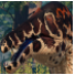 Zzzzz 1781988731screenshot 2025 01 06 175410 — Prior Extinction Archipelago 6-28-2025 option 17