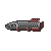 Arapaima — Terraria Enemies option 18