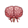 Brain Of Cthulhu — Terraria Enemies option 43