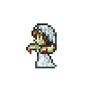 The Bride — Terraria Enemies option 314
