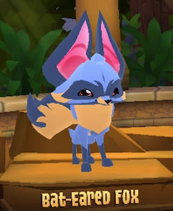 Bat Eared Fox — Animal Jam Animals 2024 option 8