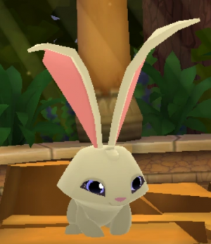 Bunny — Animal Jam Animals 2024 option 11