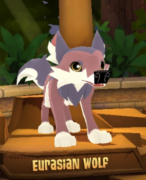 Eurasian Wolf — Animal Jam Animals 2024 option 29