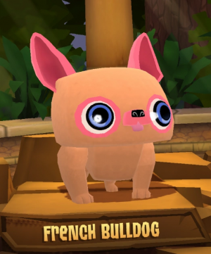 French Bulldog — Animal Jam Animals 2024 option 35