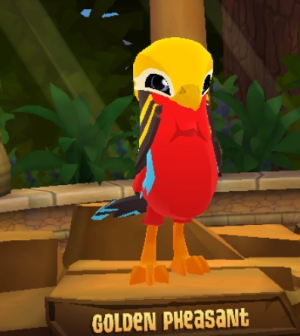 Golden Pheasant — Animal Jam Animals 2024 option 39