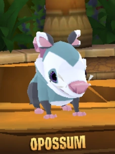 Opossum — Animal Jam Animals 2024 option 68