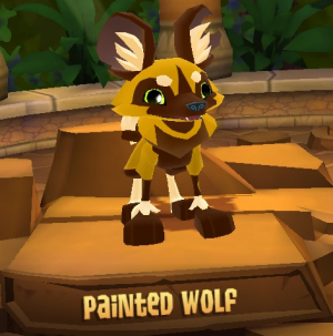 Painted Wolf — Animal Jam Animals 2024 option 72