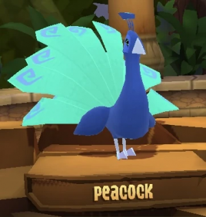 Peacock — Animal Jam Animals 2024 option 75