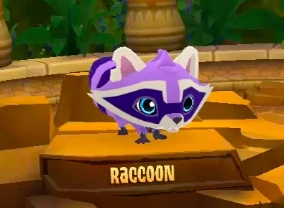 Raccoon — Animal Jam Animals 2024 option 87