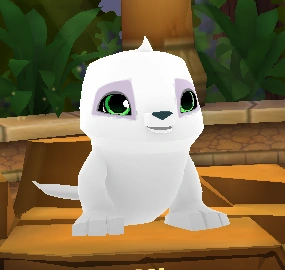 Seal — Animal Jam Animals 2024 option 93