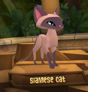 Siamese Cat — Animal Jam Animals 2024 option 95