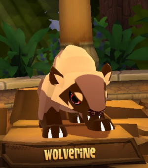 Wolverine — Animal Jam Animals 2024 option 117