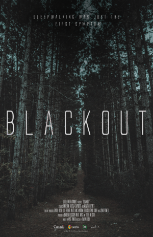 Zzzzz 1711541961blackout 2018 — XXL Found Footage Movies & TV Shows option 207