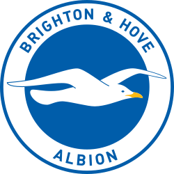 Brightonandhovealbionfccrestsvg — Premier League standings prediction 25/26 option 5