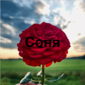 Zzzzz 1726251487image 3 — 9Б Ultimate Tirllist option 15