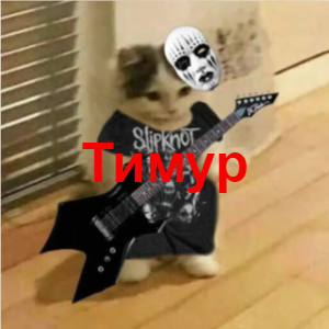 Zzzzz 1726251487image 5 — 9Б Ultimate Tirllist option 17