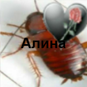 Zzzzz 1726251487image 6 — 9Б Ultimate Tirllist option 18
