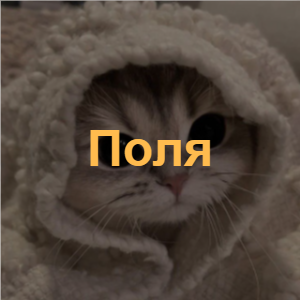 Zzzzz 1726251487image 7 — 9Б Ultimate Tirllist option 19
