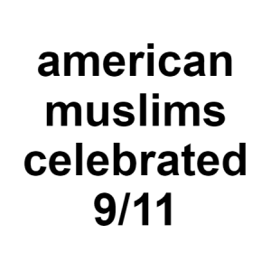 American Muslims — conspiracy theories option 9