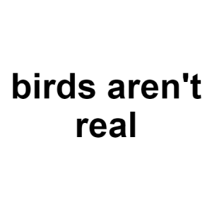 Birds — conspiracy theories option 22