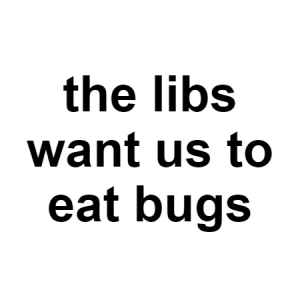 Bugs — conspiracy theories option 24