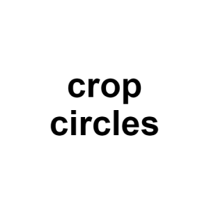 Crop Circles — conspiracy theories option 31