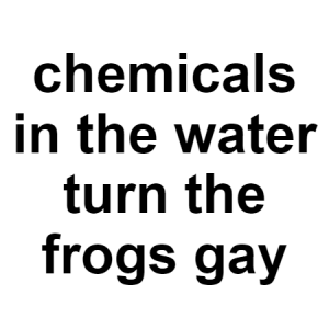 Gay — conspiracy theories option 47