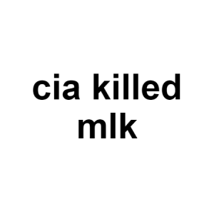 Image 3 — conspiracy theories option 68