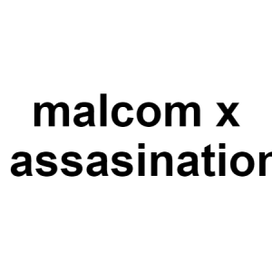 Malcom X — conspiracy theories option 85