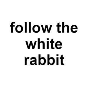 Rabbit — conspiracy theories option 109