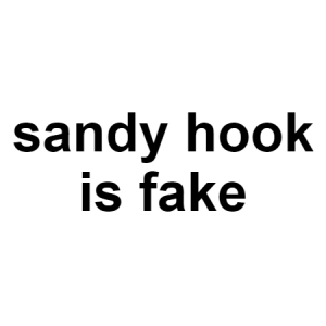 Sandy Hook — conspiracy theories option 114