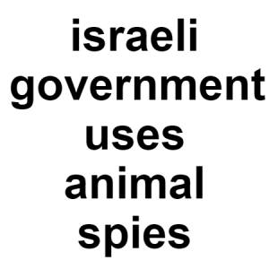 Spies — conspiracy theories option 120