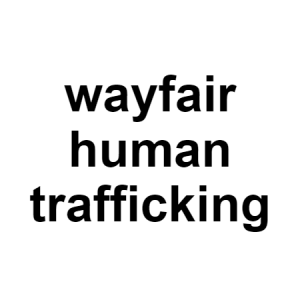 Wayfair — conspiracy theories option 132