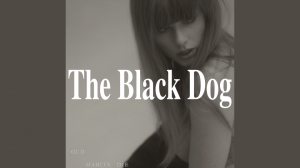 Zzzzz 1709683025ts — The Tortured Poets Department Taylor Swift Tier List option 20