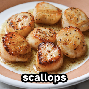Scallops — Meats: Red, White, Game, Fish, etc. option 28