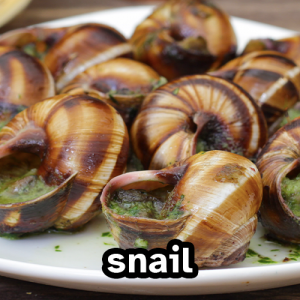 Snail — Meats: Red, White, Game, Fish, etc. option 30